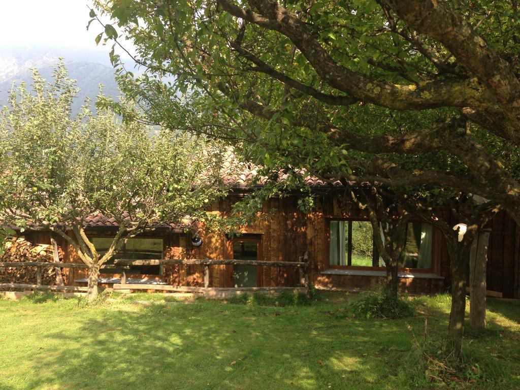 הוילה Pasturo Agriturismo Il Mirtillo B,B מראה חיצוני תמונה