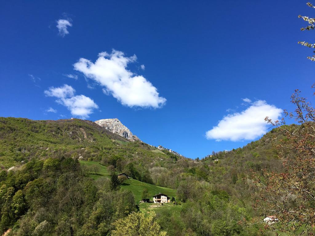 הוילה Pasturo Agriturismo Il Mirtillo B,B מראה חיצוני תמונה